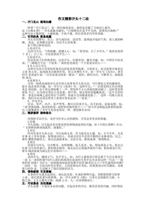 作文开头12法