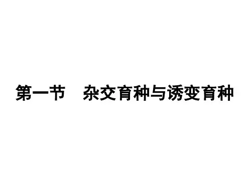 杂交育种与诱变育种公开课-(1)PPT课件