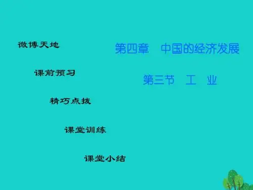 广东省2016-2017年八年级地理上册 第四章 第三节 工业导练课件