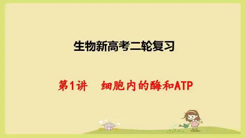 生物新高考二轮复习:2-1细胞内的酶和ATP