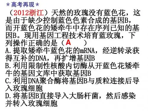 01-03选修三 基因工程