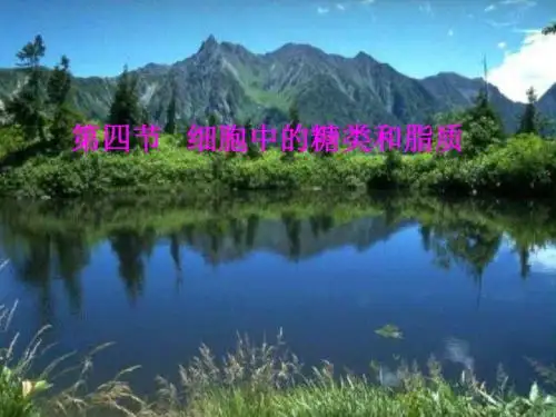 人教版生物必修一2.4细胞中的糖类和脂质(共16张PPT)
