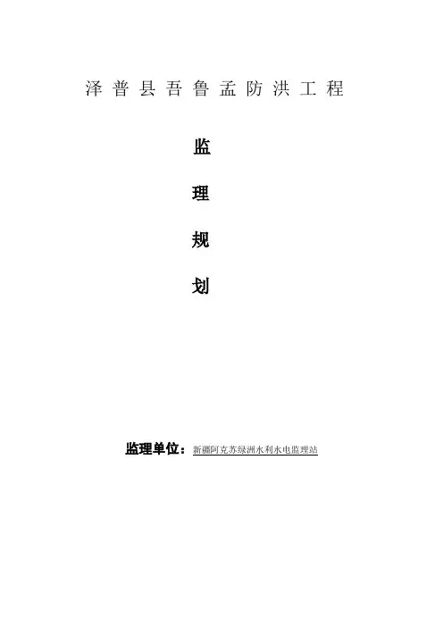 水利水工程监理规划