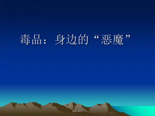 《班会毒品的世界》PPT课件