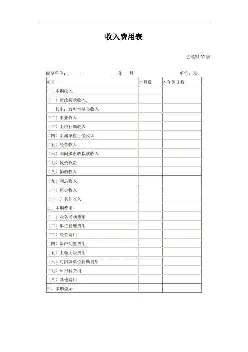 收入费用表