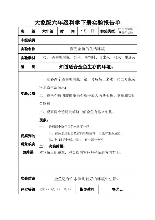 大象版六年级科学下册实验报告单