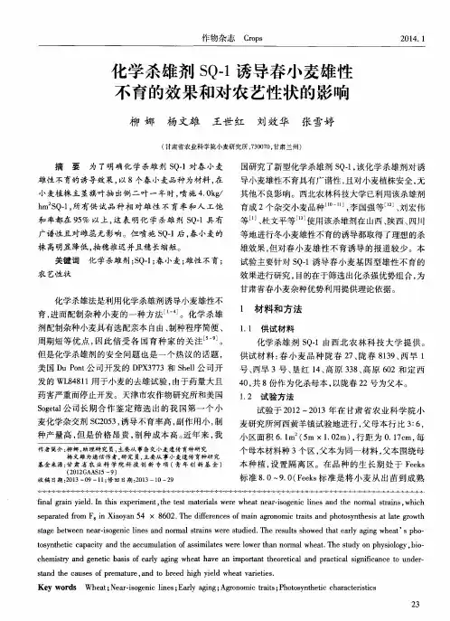 化学杀雄剂SQ-1诱导春小麦雄性不育的效果和对农艺性状的影响