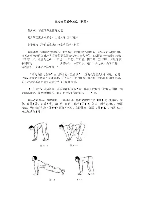 五禽戏图解全攻略