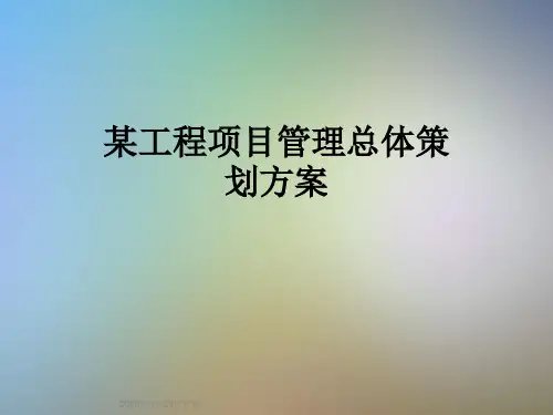 某工程项目管理总体策划方案
