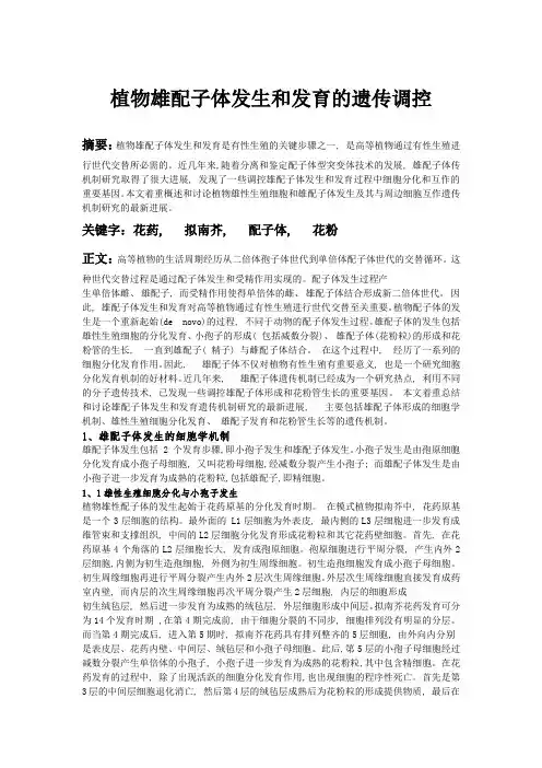 植物雄配子体发生和发育的遗传调控