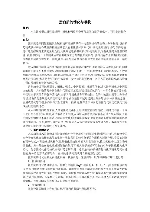 蛋白质的消化与吸收