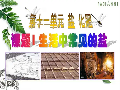生活中常见的盐hx
