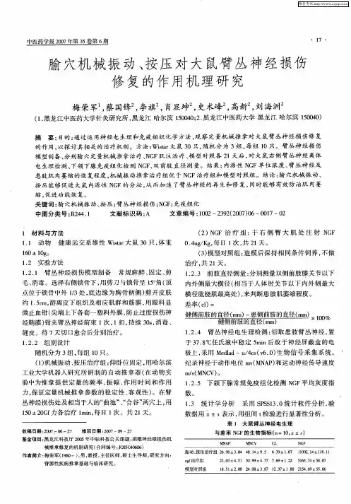 腧穴机械振动、按压对大鼠臂丛神经损伤修复的作用机理研究