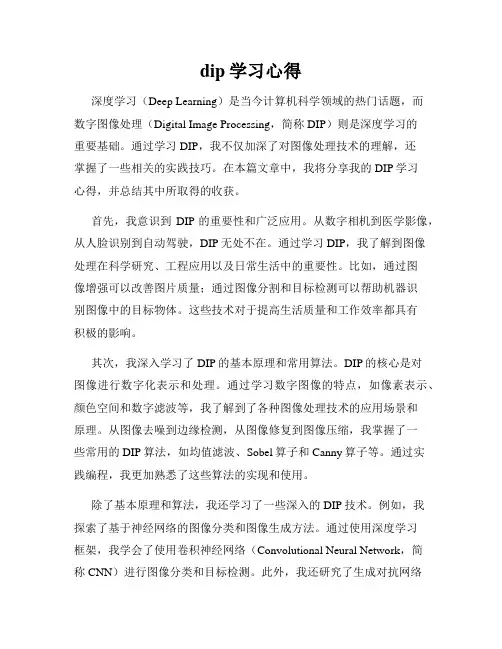 dip学习心得 2