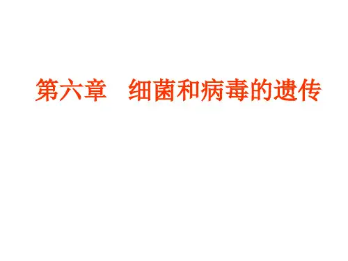 第六章   细菌和病毒的遗传