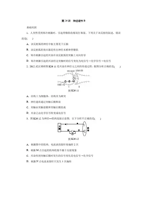 2014高考生物一轮复习方案课时作业：26神经调节b解读