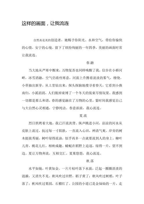 这样的画面,让我流连