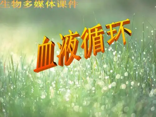 江苏省无锡市长安中学七年级生物下册《血液循环》课件