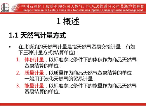 单声道流量计