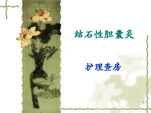 胆囊结石PPT课件