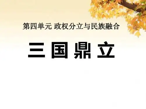 《三国鼎立》政权分立与民族融合PPT课件7(1)