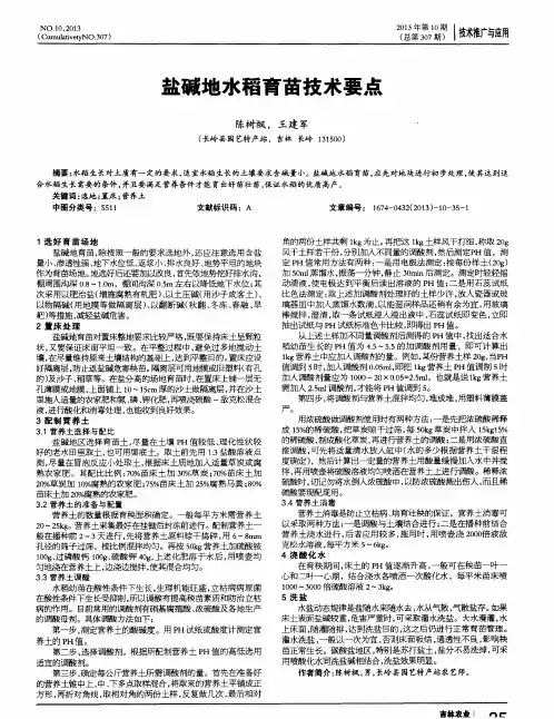 盐碱地水稻育苗技术要点