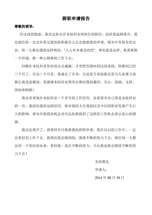 辞职申请报告 2