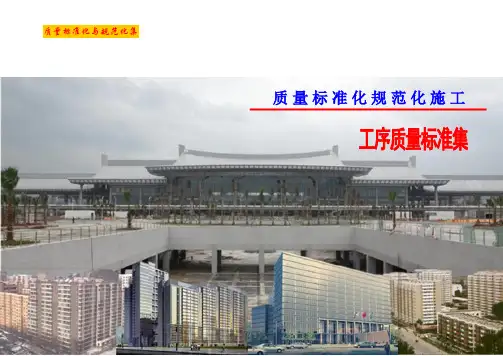 名企编制建筑工程施工质量标准化工序样板图集(a3版式77页 附图丰富)