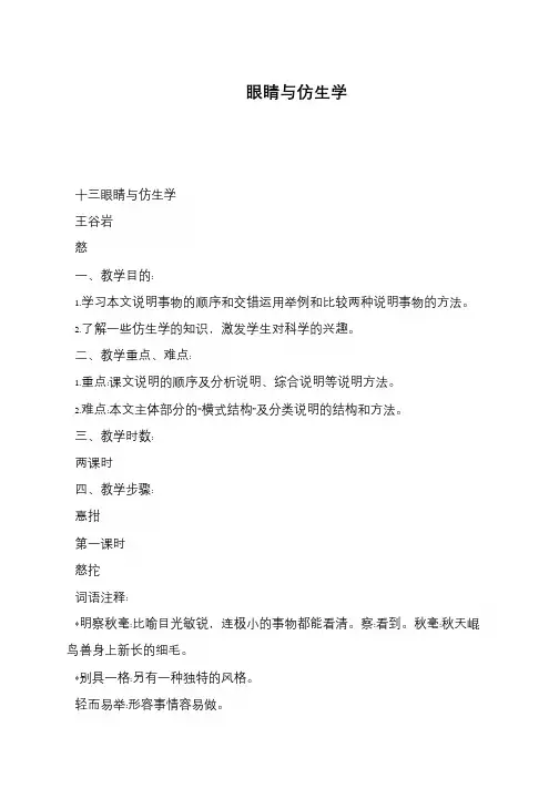 眼睛与仿生学