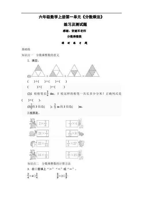 最新人教版六年级数学上册全册习题及单元试卷全套81页0