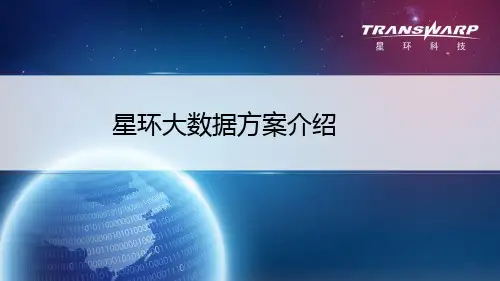 星环大数据方案介绍