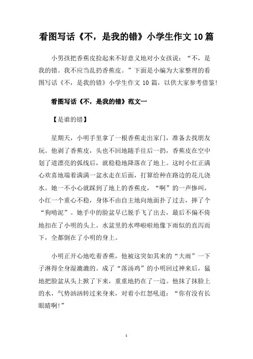 看图写话《不,是我的错》小学生作文10篇.doc