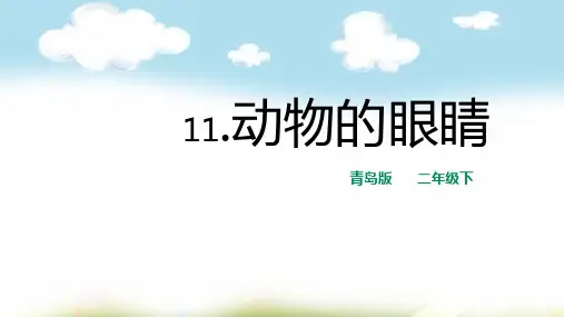 青岛版科学二年级下册课件11.动物的眼睛