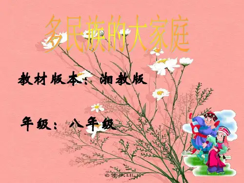 多民族的大家庭PPT教学课件