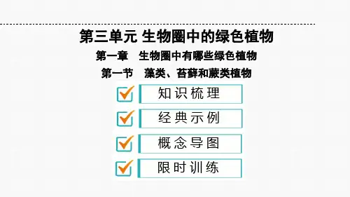 人教版七年级生物上册第3单元生物圈中的绿色植物PPT精品复习课件