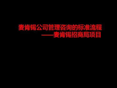 精某咨询提案标准流程