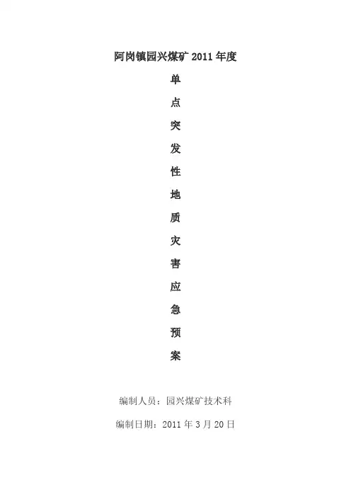 单点突发性地质灾害应急预案