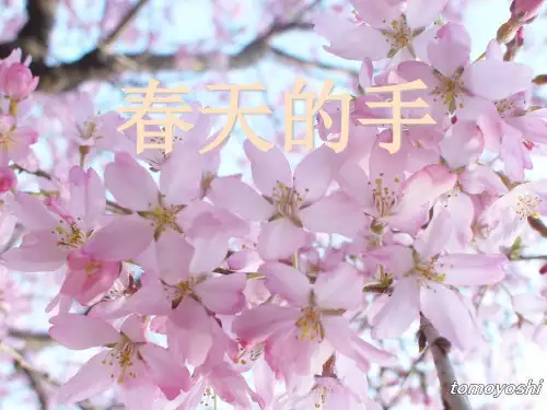 北师大版语文一年级下册(小学第2册)《春天的手》ppt课件
