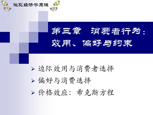 第三章消费者行为：效用、偏好与约束