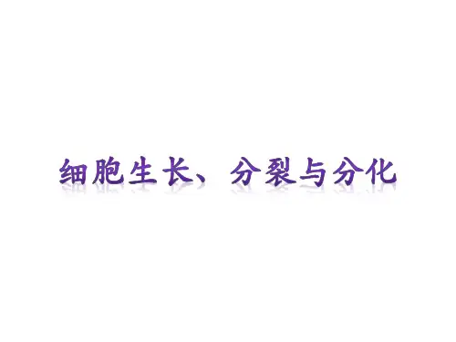 北京课标版生物课件   七年级上册第三章 第一节 细胞   