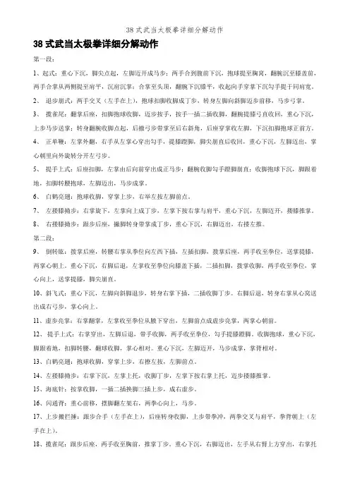 38式武当太极拳详细分解动作