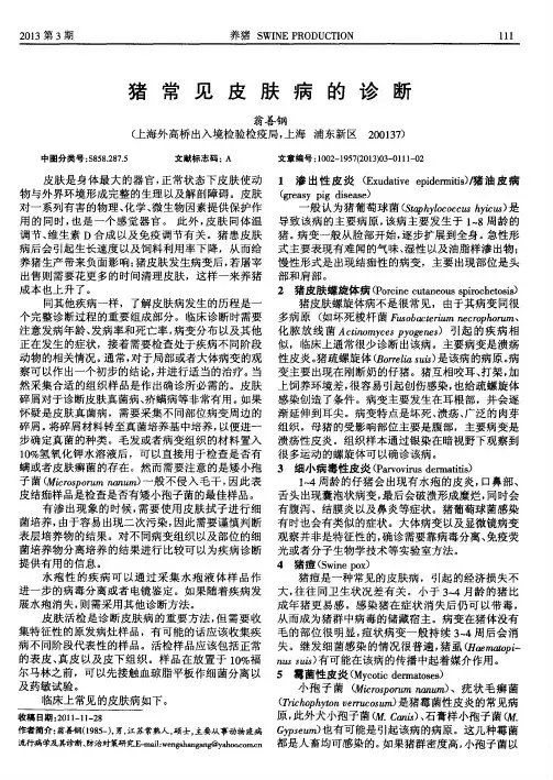 猪常见皮肤病的诊断