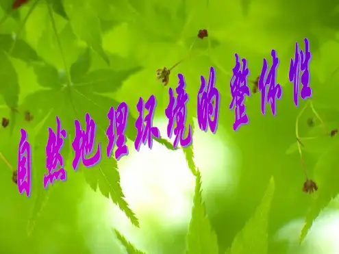 《自然地理环境的整体性》课件