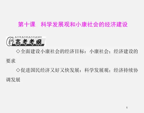 高考政治 必修ⅰ一轮复习 10科学发展观和小康社会的经济建设