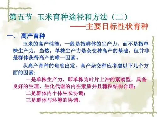 玉米育种05