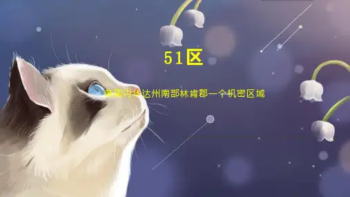 51区    