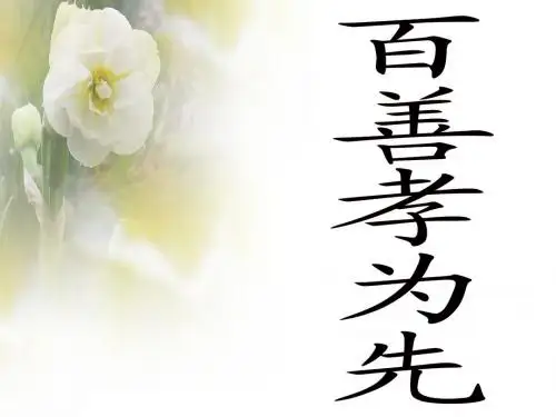 百善孝为先,主题班会,作文素材