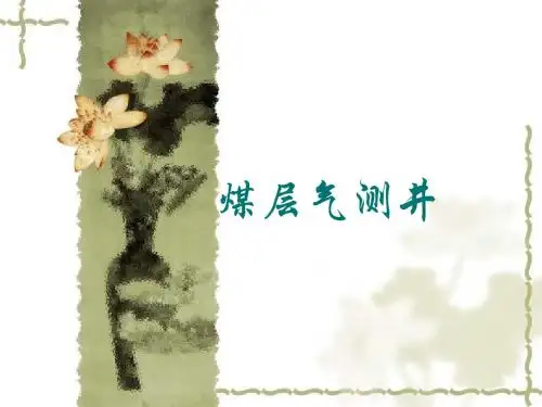 煤层气测井