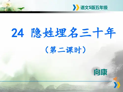 《隐姓埋名三十年》