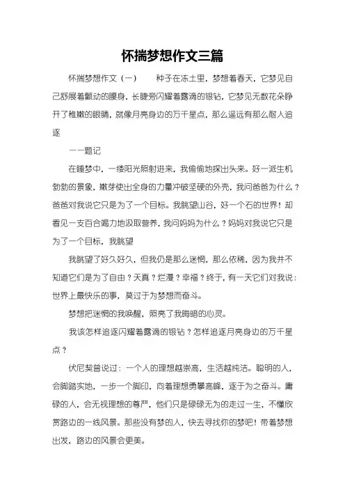 怀揣梦想作文三篇